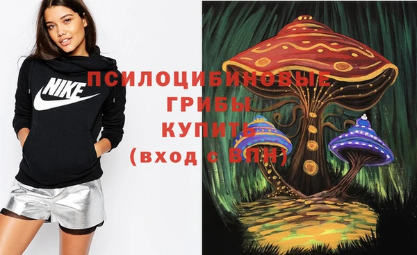 прущие крисы Горнозаводск