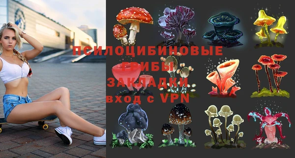 прущие крисы Горнозаводск