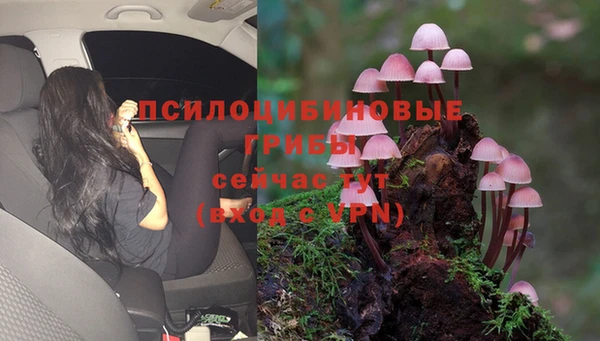 прущая мука Горняк