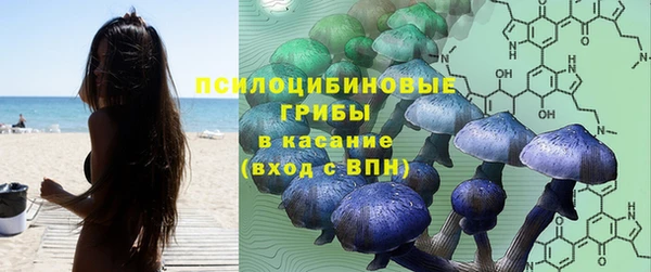 прущие крисы Горнозаводск